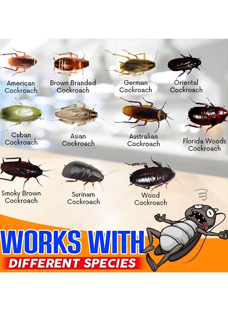 Cockroach Gel Killer for Homes & Kitchens - Safe Cockroach Control Gel Eliminates Roaches 3PCS