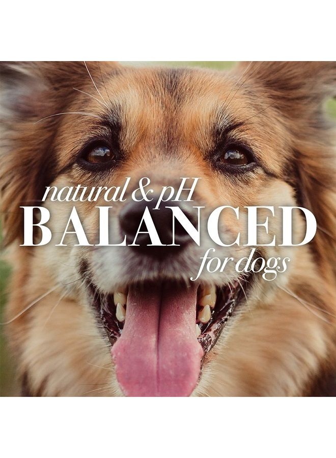 Burt's Bees for Pets Natural Hot Spot Spray for Dogs - Relieves & Soothes Dog Hot Spots - Made with Apple Cider Vinegar & Aloe Vera - Cruelty, Sulfate & Paraben Free - Made in USA, 10 oz - Image 3