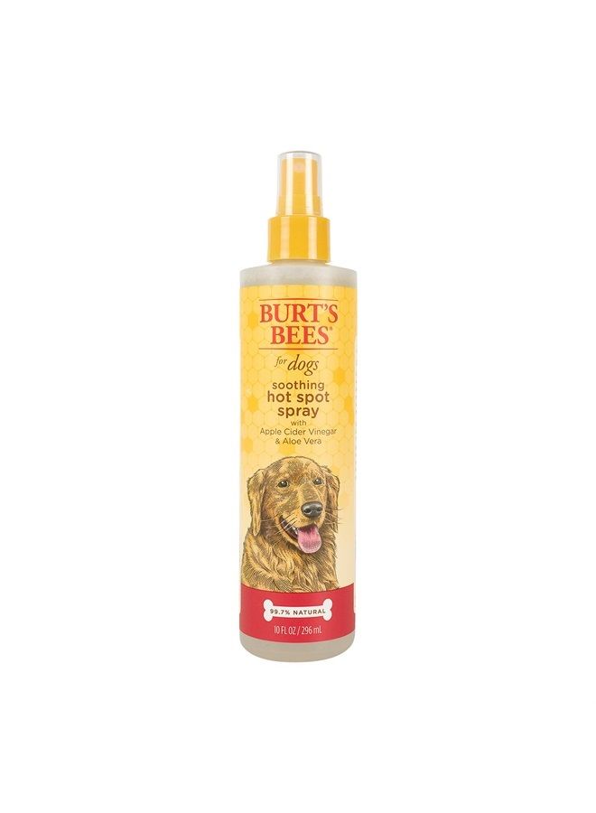 Burt's Bees for Pets Natural Hot Spot Spray for Dogs - Relieves & Soothes Dog Hot Spots - Made with Apple Cider Vinegar & Aloe Vera - Cruelty, Sulfate & Paraben Free - Made in USA, 10 oz - Image 1