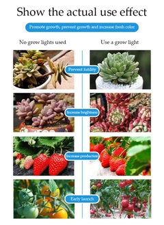 DUNISO USB clip plant growth light, 2 lamp heads, timed full spectrum, succulent herb seedling supplement light, LED plant growth light, used to promote plant growth  - Image 3