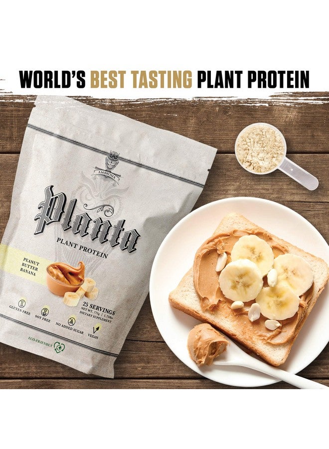 Ambrosia Planta - Premium Organic Plant-Based Protein (Peanut Butter Banana) - Image 3