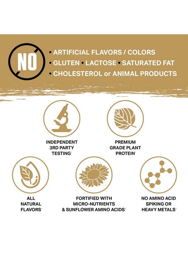 Ambrosia Planta - Premium Organic Plant-Based Protein (Peanut Butter Banana) - Image 5