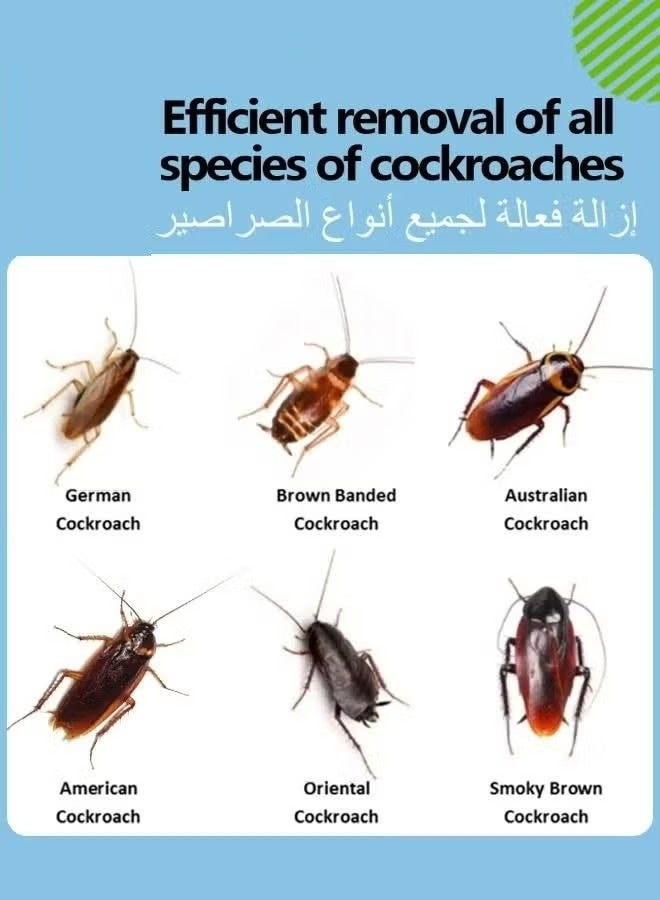 Cockroach عبوتان من طُعم جل الصراصير - Image 2