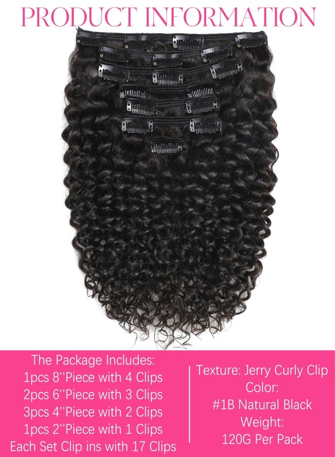 Lacer Clip in Human Hair Extensions Afro Jerry Curly 3B 3C Real Hair Clip in Extensions For Black Women Natural Black Colour 100% Brazilian African American Hair Extensions (60cm , Jerry Curly 1B/4) - Image 3