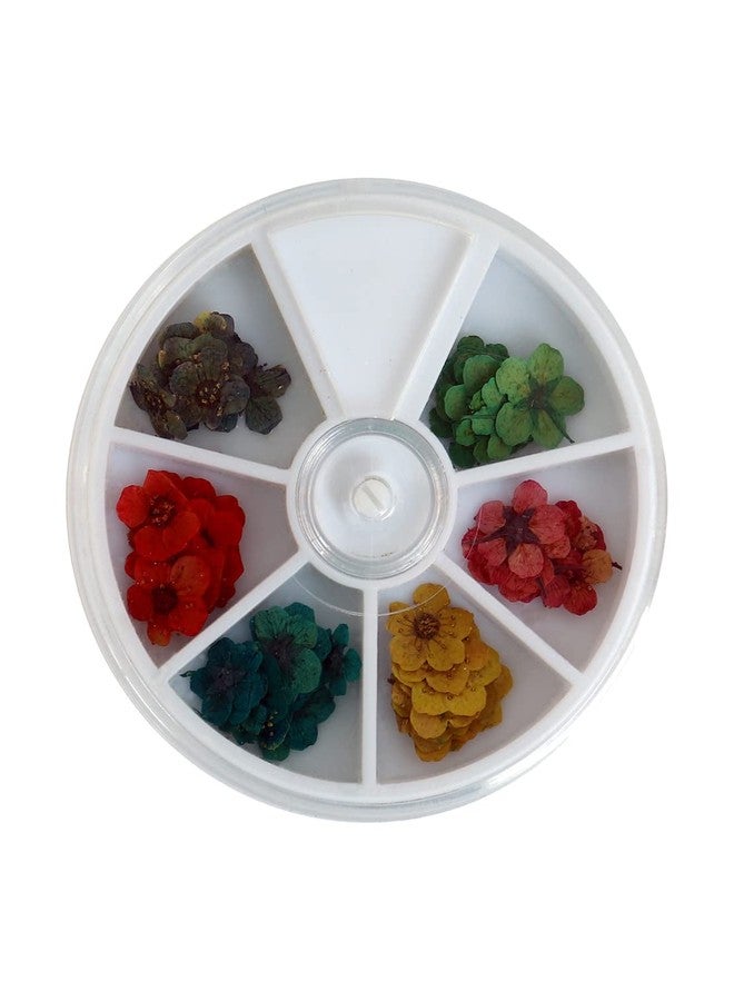Sunil Bajaj, Nail Art Natural Dried Flowers (6 X 10 PCS) - Image 3