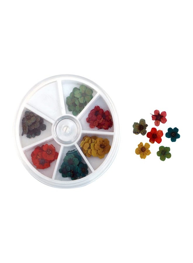 Sunil Bajaj, Nail Art Natural Dried Flowers (6 X 10 PCS) - Image 1