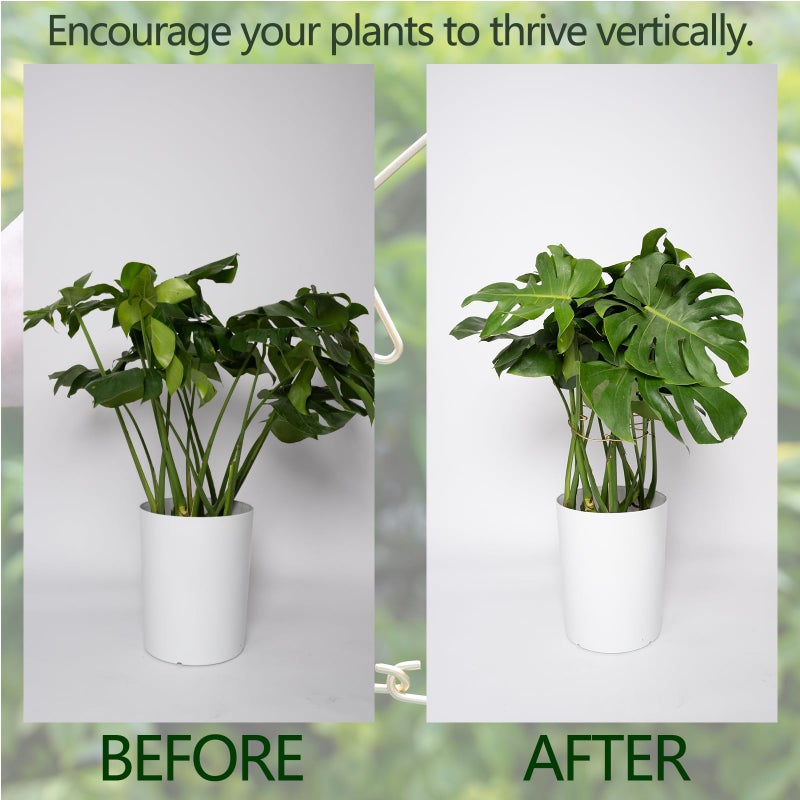Goooxim Monstera Plant Support Stem Stabilizer 9 * 7.6 inches- Durable Leaf Holder & Adjustable Stake for Fishbone Cactus, Easy to Install Garden Tool for Optimal Growth in Indoor Plants - Image 3