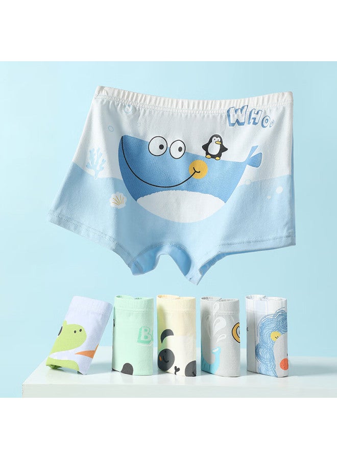 Fentengcare Kids Underwear 7a Antibacterial 6-pack 100% Cotton Gusset Cartoon Boys Boxer Briefs - Image 4