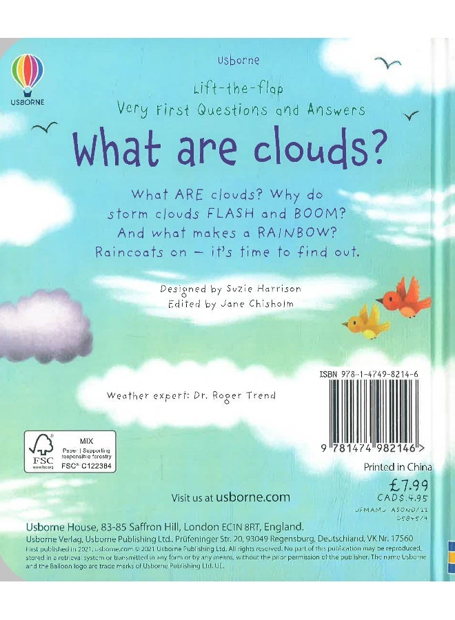Lift-The-Flap Very First Questions And Answers: What Are Clouds? - Image 2