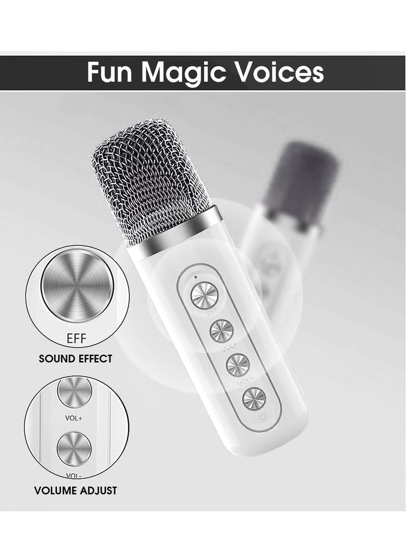 TIGER - Karaoke Machine with 2 Wireless UHF Microphones – Portable Bluetooth Speaker System for Adults and Children, Voice Cutting Feature, Perfect for Parties, Meetings, Weddings & Churches - Image 1