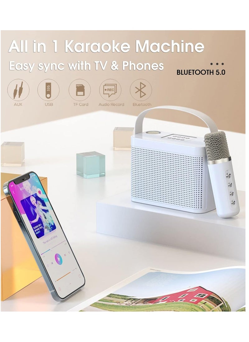 TIGER - Karaoke Machine with 2 Wireless UHF Microphones – Portable Bluetooth Speaker System for Adults and Children, Voice Cutting Feature, Perfect for Parties, Meetings, Weddings & Churches - Image 1