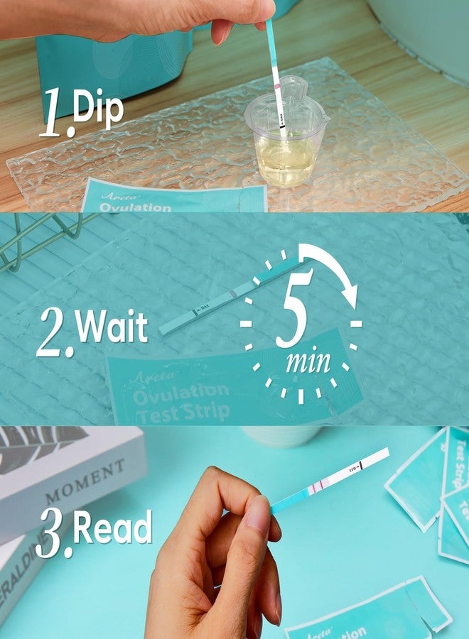 Areta Ovulation Test Strips Kit: 30 Tests | Accurate & Reliable for Women | Fast & Convenient Fertility Tracking | High Accuracy Ovulation Test Kit | Expiration Date 07/11/2026 - Image 5