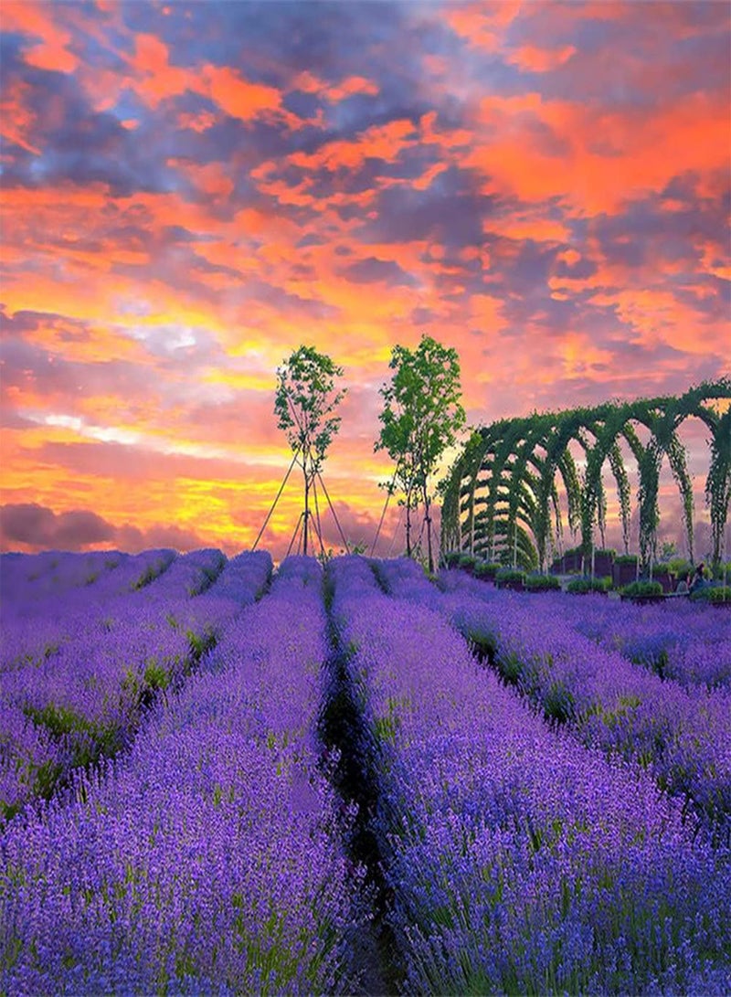 GGOOT 200Pcs Lavender Seeds Purple Flowers Exude A Strong Fragrance Loved by Gardeners and Beginners Easy Planted Bring A Sense of Accomplishment - Image 1