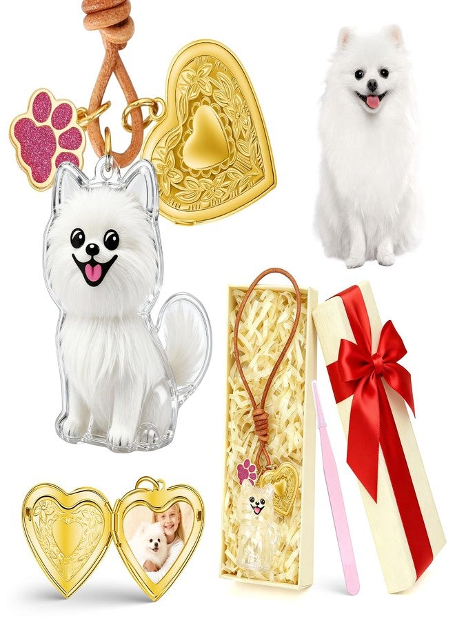 Pomeranian Dog Hair Collector Keychain Dog Fur Keepsake Pet Memorial Gifts for Dogs Pets Fur Memory Charm with Storage Photo - Image 1