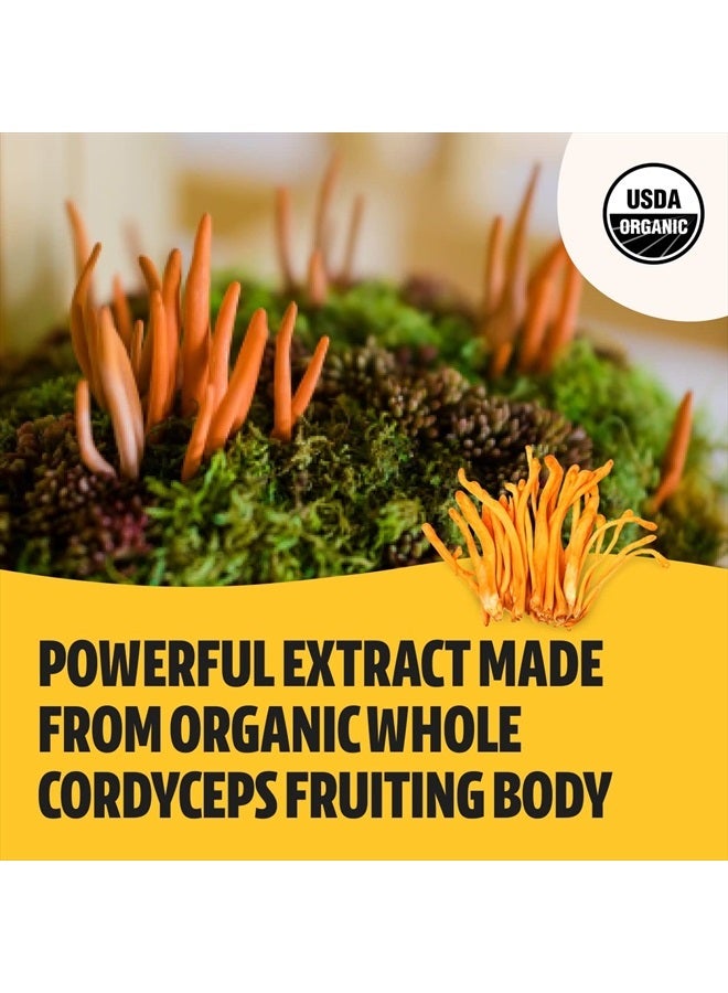 FreshCap Mushrooms FreshCap Organic Cordyceps Mushroom Extract Powder Supplement - for Energy, Exercise Performance & Endurance - Vegan, Pure Fruiting Body Extract - Add to Coffee/Tea/Smoothies - 2.1 Ounce (60g) - Image 3