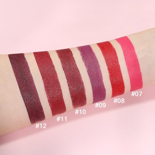 ORANOT 6 Pcs Nude Pink Dark Red Purple Wine Red Plum Matte Lipstick Set for Women Long Lasting Waterproof Moisturizing Lipsticks for Older Women 24 Hours Lip Stick Lip Stain Makeup Gift Kit,Lip Makeup Vegan - Image 5
