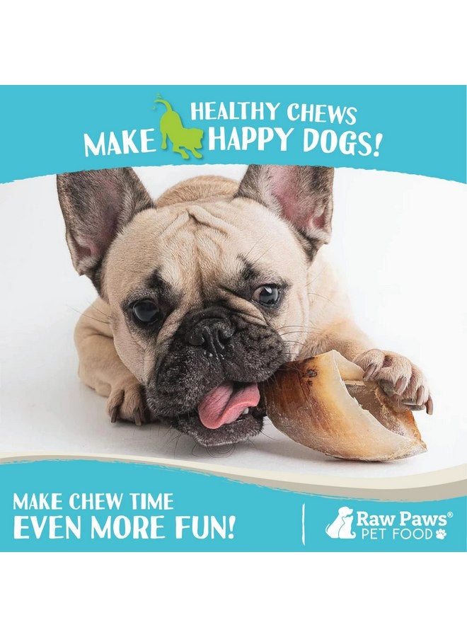 Raw Paws Cow Hooves for Dogs, 10-Pack - All-Natural Beef Hooves Made from Free-Range, Grass-Fed Cattle - Safe Rawhide Alternative - Dog Cow Hooves XL - Long-Lasting Cow Hoof Dog Chews - Image 4