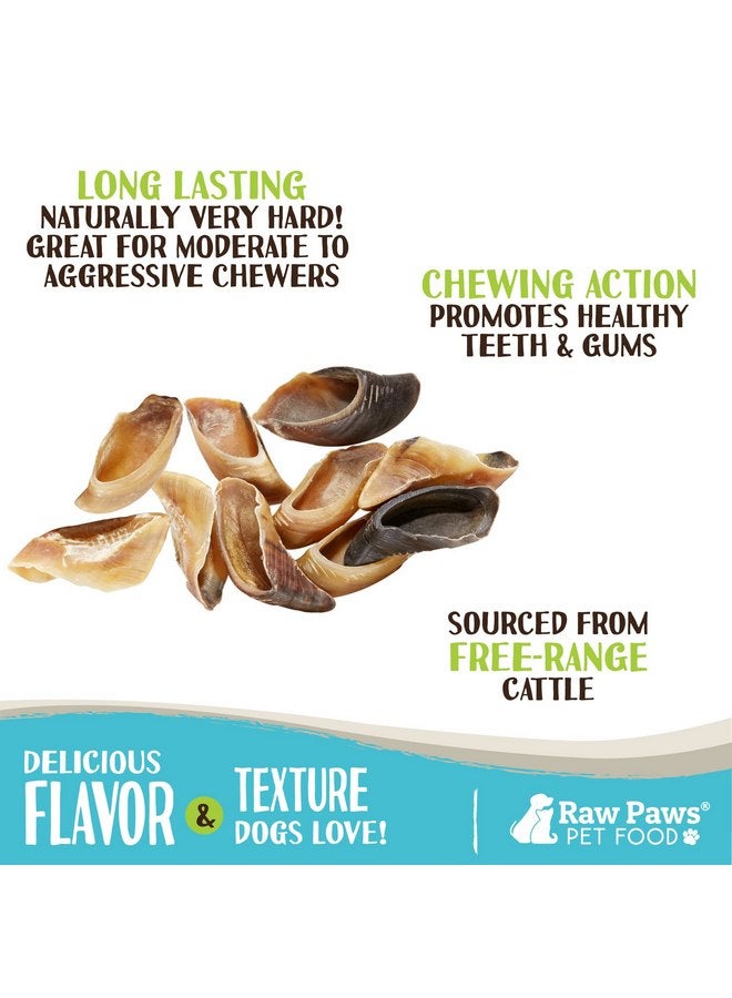 Raw Paws Cow Hooves for Dogs, 10-Pack - All-Natural Beef Hooves Made from Free-Range, Grass-Fed Cattle - Safe Rawhide Alternative - Dog Cow Hooves XL - Long-Lasting Cow Hoof Dog Chews - Image 1
