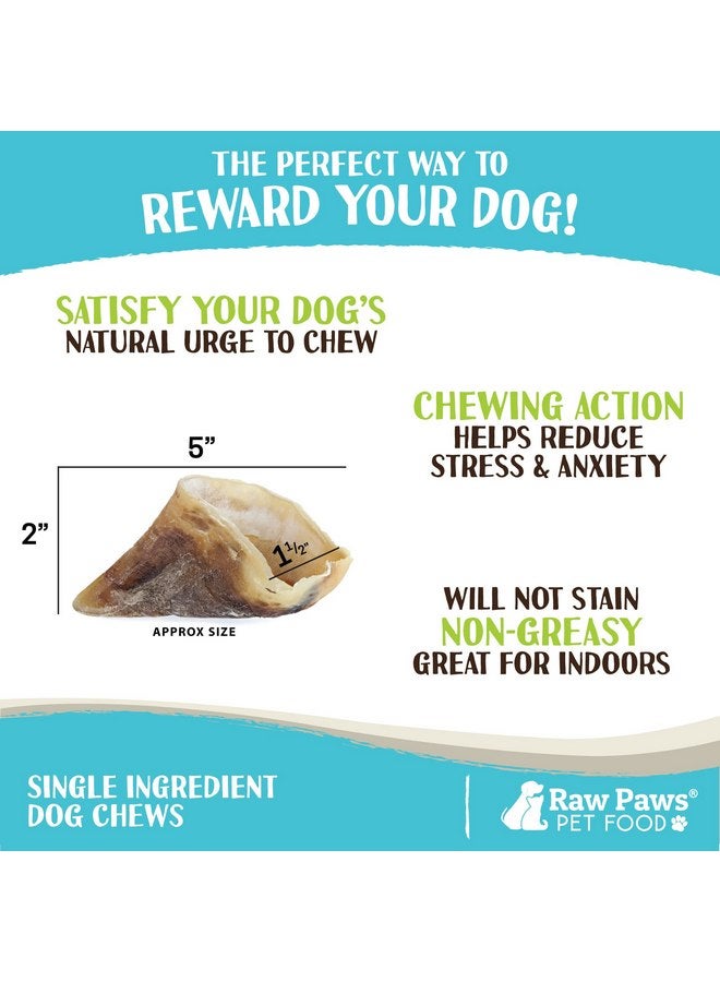 Raw Paws Cow Hooves for Dogs, 10-Pack - All-Natural Beef Hooves Made from Free-Range, Grass-Fed Cattle - Safe Rawhide Alternative - Dog Cow Hooves XL - Long-Lasting Cow Hoof Dog Chews - Image 2