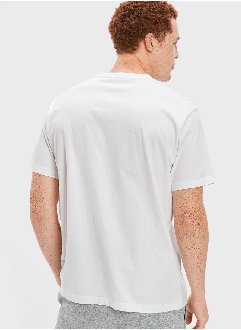American Eagle Graphic Crew Neck T-Shirt