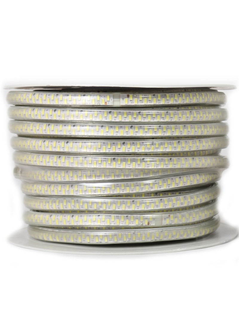 MAAS - LED STRIP LIGHT 50M 220-240V - Image 1