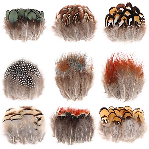 MWOOT 9 Styles Assorted Craft Feathers (180Pcs), Natural Chicken Feathers for DIY Earring Wings Dream Catcher Crafts Activities Project Wedding Party Home Decoration - Image 1