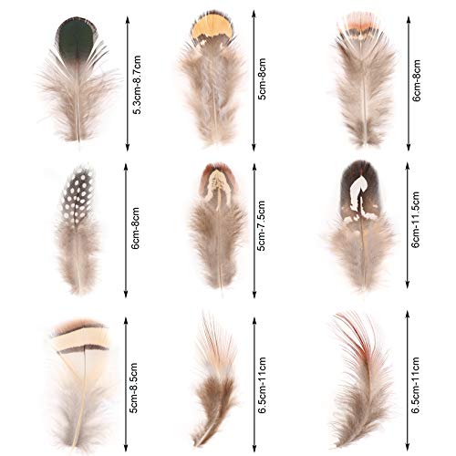 MWOOT 9 Styles Assorted Craft Feathers (180Pcs), Natural Chicken Feathers for DIY Earring Wings Dream Catcher Crafts Activities Project Wedding Party Home Decoration - Image 3