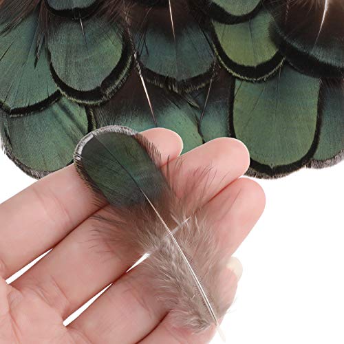 MWOOT 9 Styles Assorted Craft Feathers (180Pcs), Natural Chicken Feathers for DIY Earring Wings Dream Catcher Crafts Activities Project Wedding Party Home Decoration - Image 4