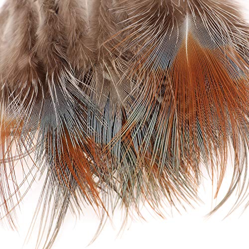 MWOOT 9 Styles Assorted Craft Feathers (180Pcs), Natural Chicken Feathers for DIY Earring Wings Dream Catcher Crafts Activities Project Wedding Party Home Decoration - Image 5
