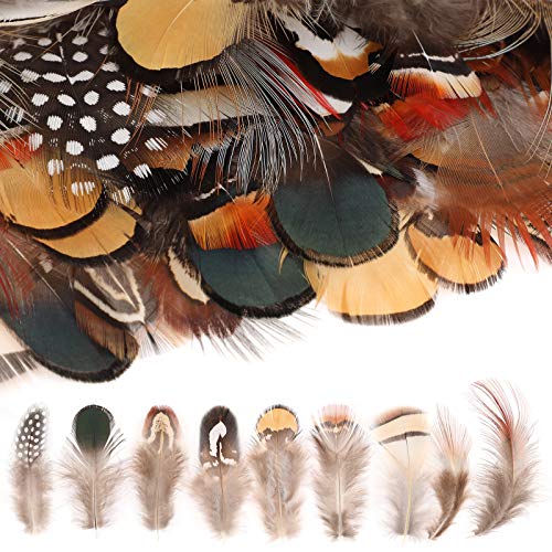 MWOOT 9 Styles Assorted Craft Feathers (180Pcs), Natural Chicken Feathers for DIY Earring Wings Dream Catcher Crafts Activities Project Wedding Party Home Decoration - Image 2