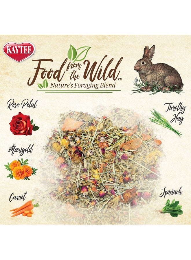 كايتي طعام كايتي من ذا وايلد ناتشورال بيت رابيت فود، 4 أرطال - Image 3