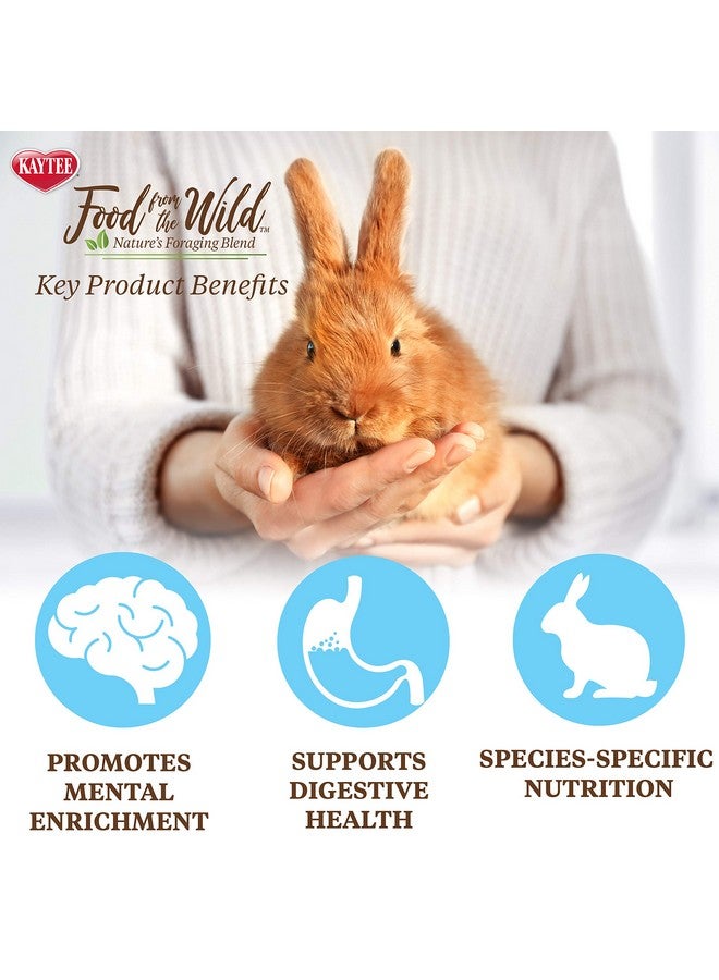 كايتي طعام كايتي من ذا وايلد ناتشورال بيت رابيت فود، 4 أرطال - Image 5