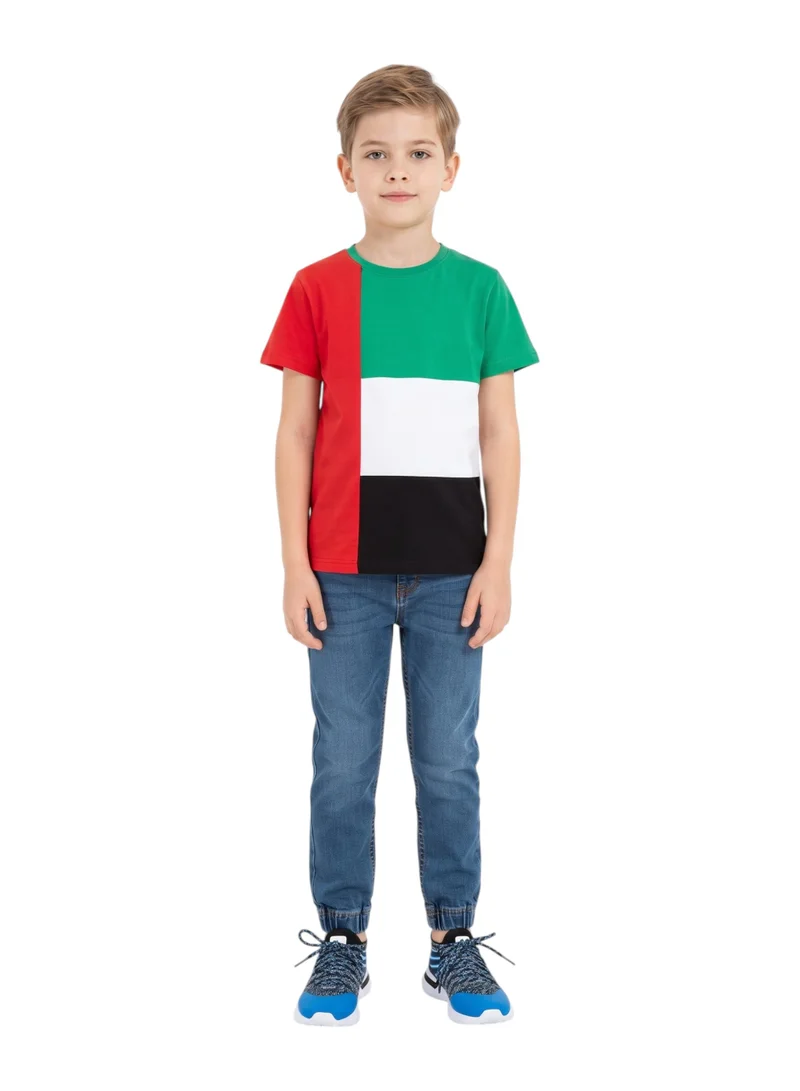 بيداني UAE National Flag Colorblock T-Shirt