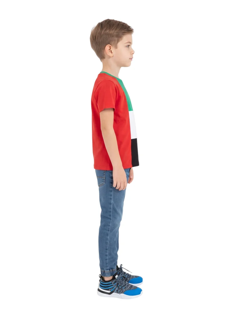 بيداني UAE National Flag Colorblock T-Shirt