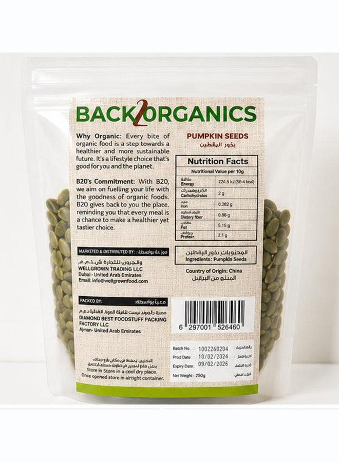 Back 2 Organics Organic Pumkin Seeds - Image 2