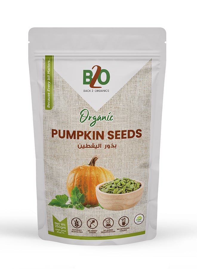 Back 2 Organics Organic Pumkin Seeds - Image 1