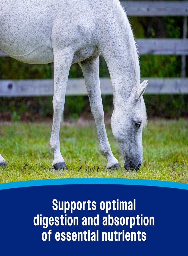 Farnam Probiotic Powder for Horses, Daily Digestive and Immune Health Supplement Helps Maintain a Healthy Microbial Balance for Optimal Digestion - Image 5