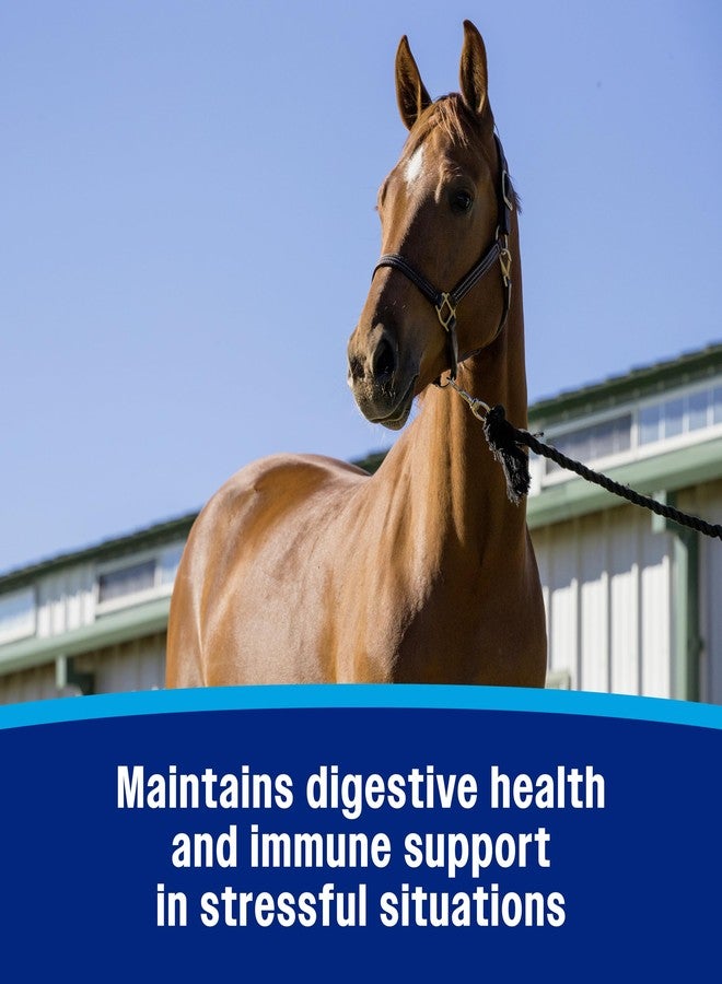 Farnam Probiotic Powder for Horses, Daily Digestive and Immune Health Supplement Helps Maintain a Healthy Microbial Balance for Optimal Digestion - Image 4