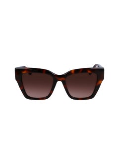 Liu Jo FULL RIM ACETATE ACETATE LIU JO SUNS LJ777S 5318 (240) TORTOISE  - Image 2