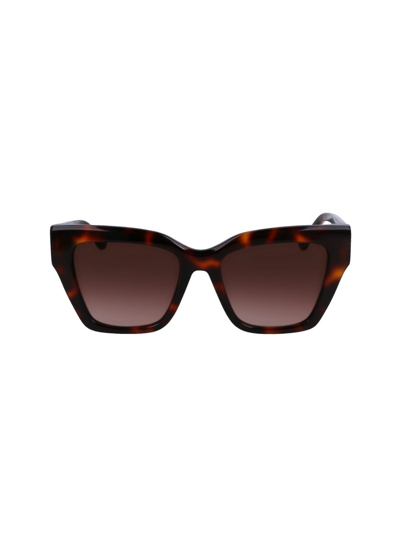 Liu Jo إطار كامل من الأسيتات نظارات شمسية ليو جو LJ777S 5318 (240) على شكل سلحفاة - Image 2