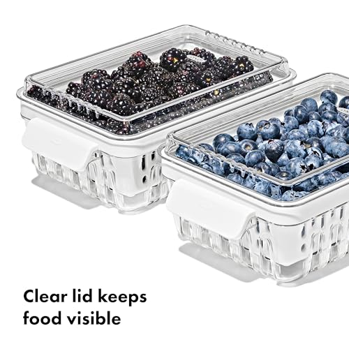 OXO Good Grips Produce Saver - Berry Keeper 2-Piece Set - Image 3