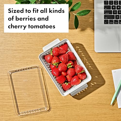 OXO Good Grips Produce Saver - Berry Keeper 2-Piece Set - Image 4