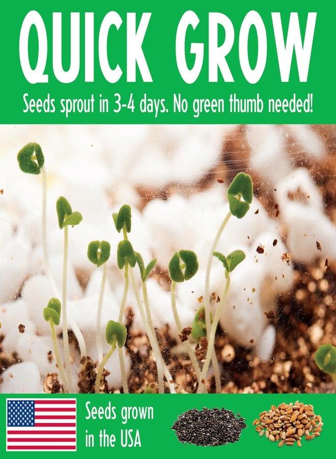 Creativity for Kids Grow N Glow Dinosaur Terrarium Kit | Create, Plant & Grow a Prehistoric Habitat | DIY Terrarium Kit with Glow-in-The-Dark Stickers & Dino Toys | STEM Science Kit (Ages 6+) - Image 4