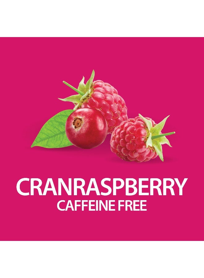 21st Century Herbal Slimming Cranraspberry Tea 24 Tea Bags - Image 4