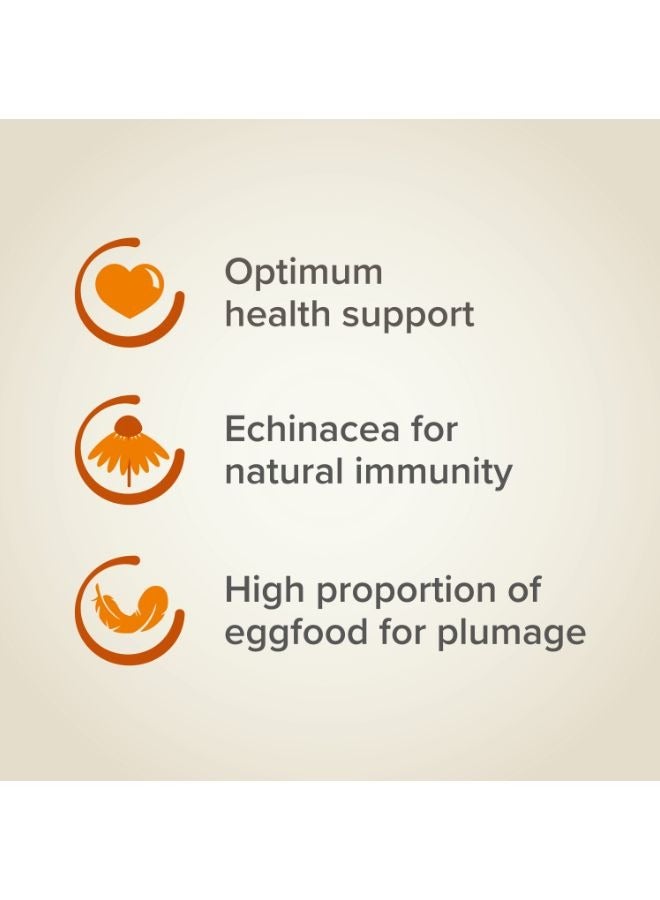 بيفار اكسترا فيتال ببغاء كبير 1 كجم - Image 3