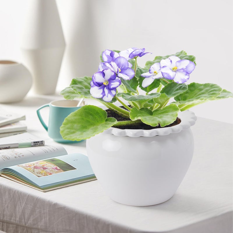 Lovely Ran 2pcs 6.5 * 4.6 * 4 inch White African Violet Flower Pot Ceramic Self Watering Flower Pot Simple Plant Self Watering Pot Indoor Flowers High Absorption Herbaceous Flower Pot - Image 3