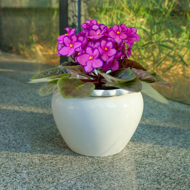 Lovely Ran 2pcs 6.5 * 4.6 * 4 inch White African Violet Flower Pot Ceramic Self Watering Flower Pot Simple Plant Self Watering Pot Indoor Flowers High Absorption Herbaceous Flower Pot - Image 4