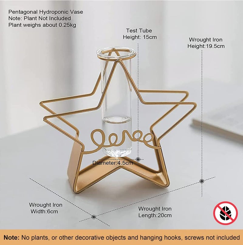 FURN ASPIRE Furn Aspire Glass Metal Frame Stand Flower Vase for Office Home Decoration and Environment Note Plants Decorative Objects Not Included Star - Image 2