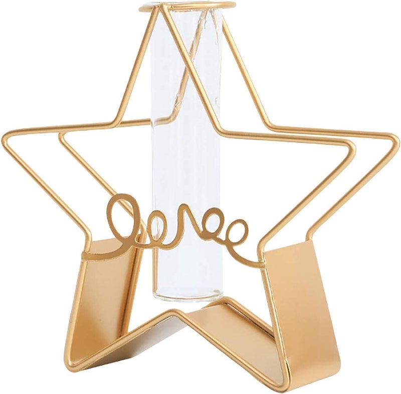 FURN ASPIRE Furn Aspire Glass Metal Frame Stand Flower Vase for Office Home Decoration and Environment Note Plants Decorative Objects Not Included Star - Image 1
