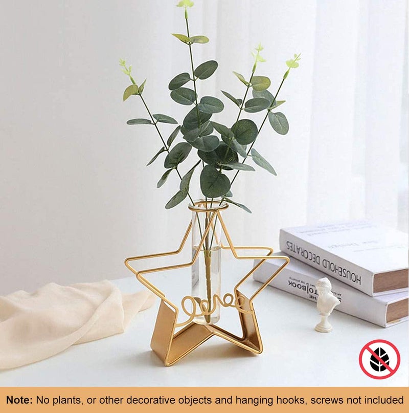 FURN ASPIRE Furn Aspire Glass Metal Frame Stand Flower Vase for Office Home Decoration and Environment Note Plants Decorative Objects Not Included Star - Image 3